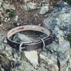 Leonardo Carbone Keltischer Hundekragen, Braun