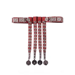 Deepeeka Roman Cingulum Mainz, Rot